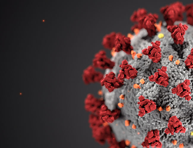 Bild Covid-19 virus.