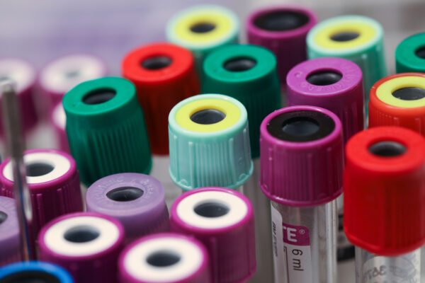 Decorative image of biological samples in multiple colors